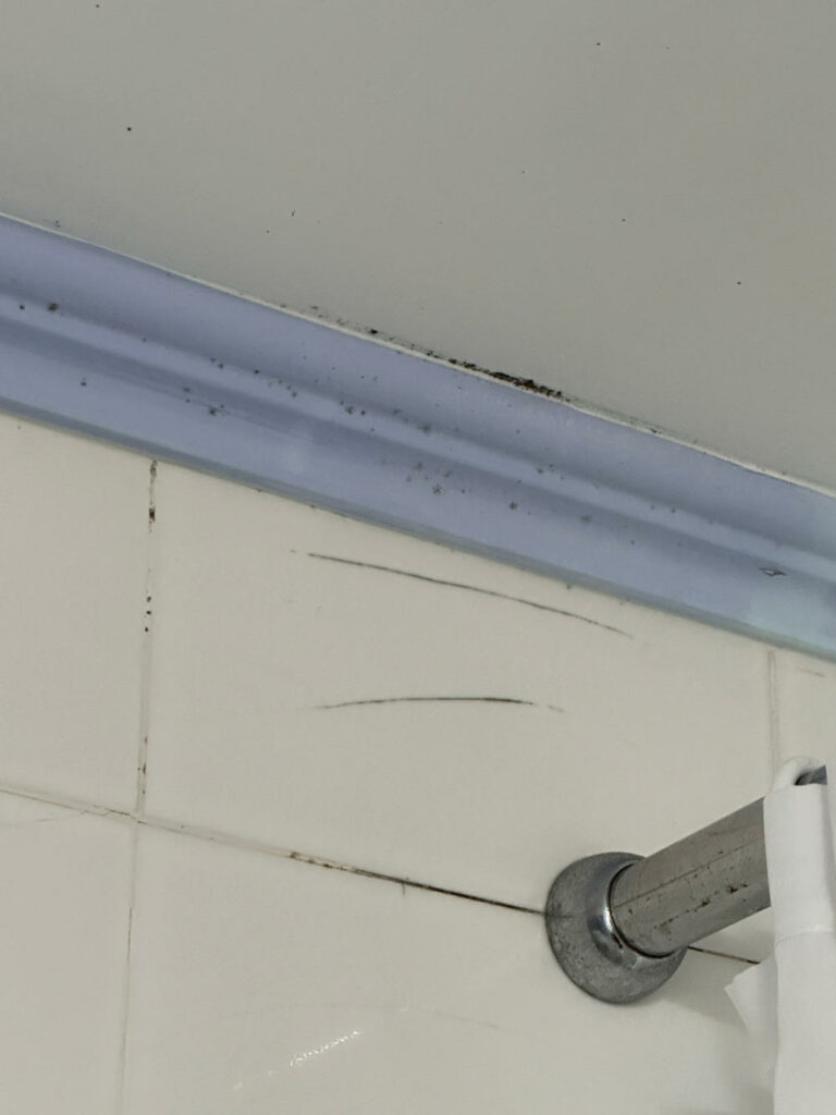 Black mold in the shower at Paphos Gardens Holiday Resort in Cyprus